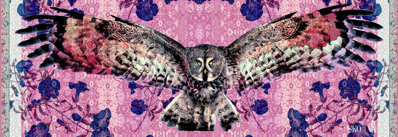 Pink owlet 2024